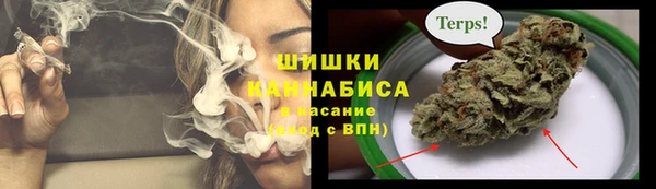 PSILOCYBIN Верхний Тагил