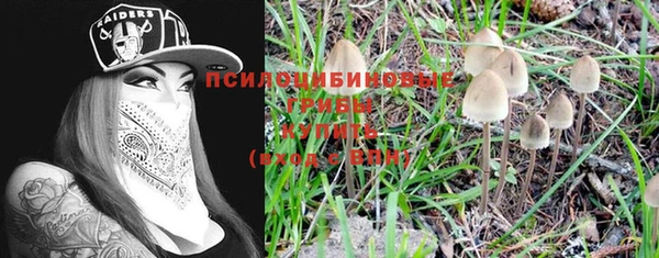 2c-b Липки