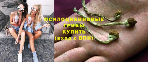 индика Лиски