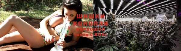2c-b Липки