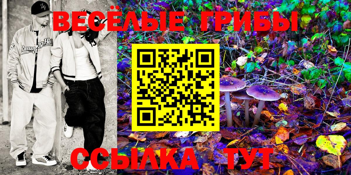 Галлюциногенные грибы MAGIC MUSHROOMS  Псилоцибиновые грибы мицелий  Ижевск  Вход с VPN 